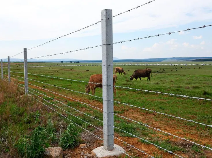 Fencing Solutions